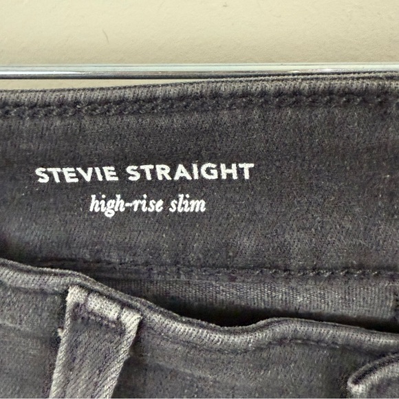 AG Adriano Goldschmied Stevie Straight High Rise Slim Jeans Size 26 NWT - Picture 11 of 15